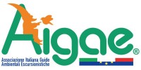 aigae logo