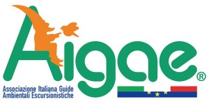 aigae logo